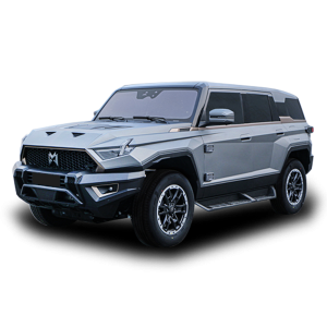 Dongfeng Mengshi 917 2023-2025